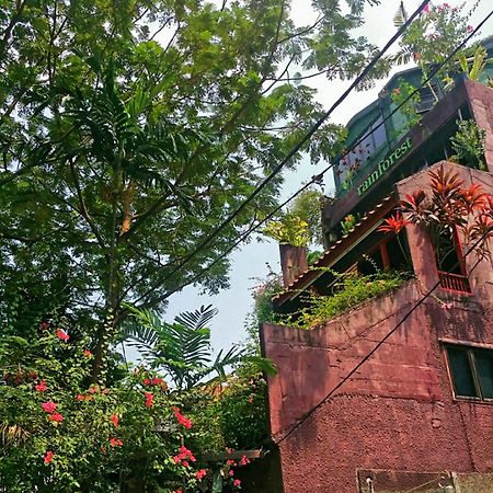 Rainforest Bed & Breakfast Kuala Lumpur Zewnętrze zdjęcie