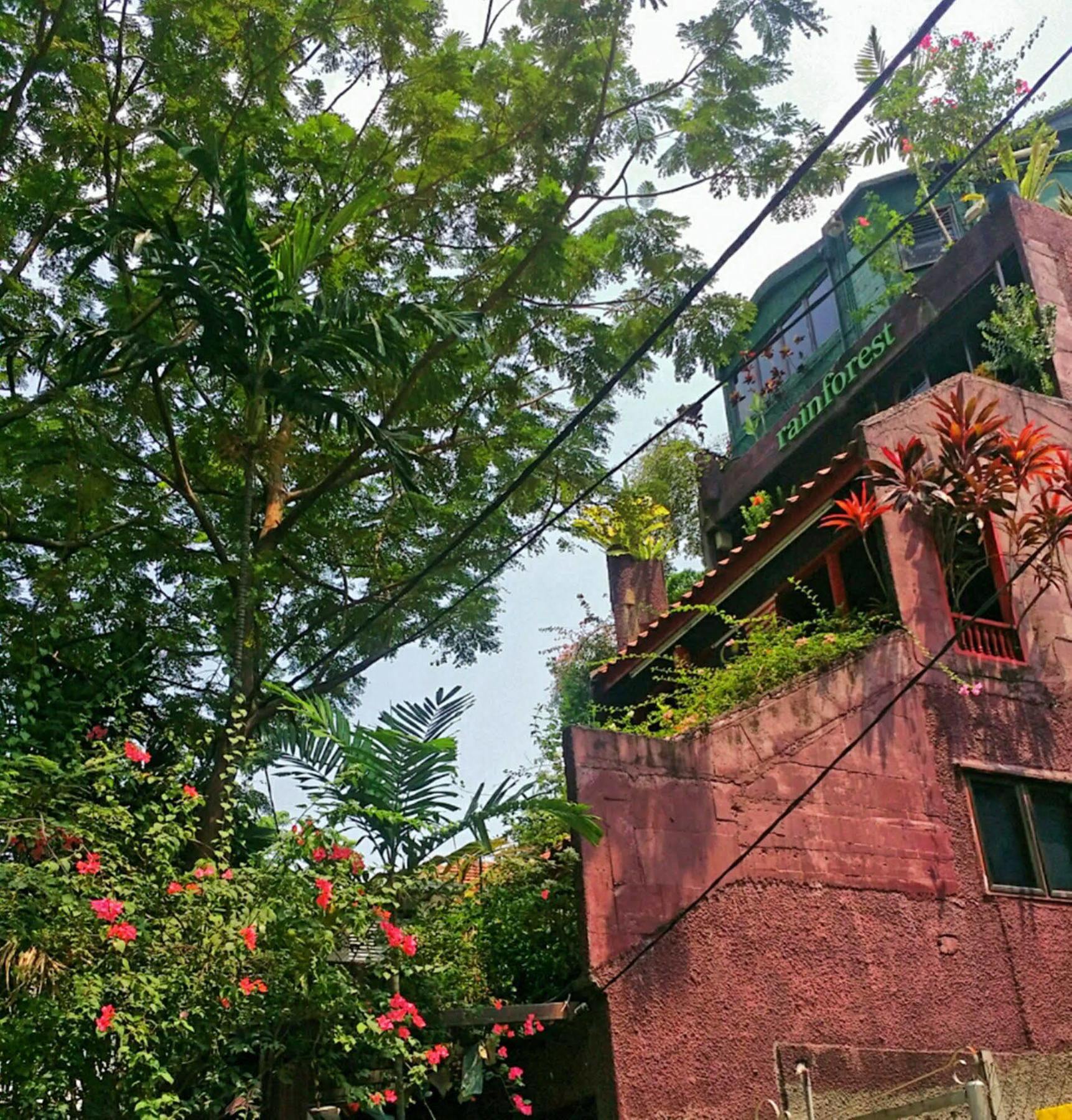Rainforest Bed & Breakfast Kuala Lumpur Zewnętrze zdjęcie