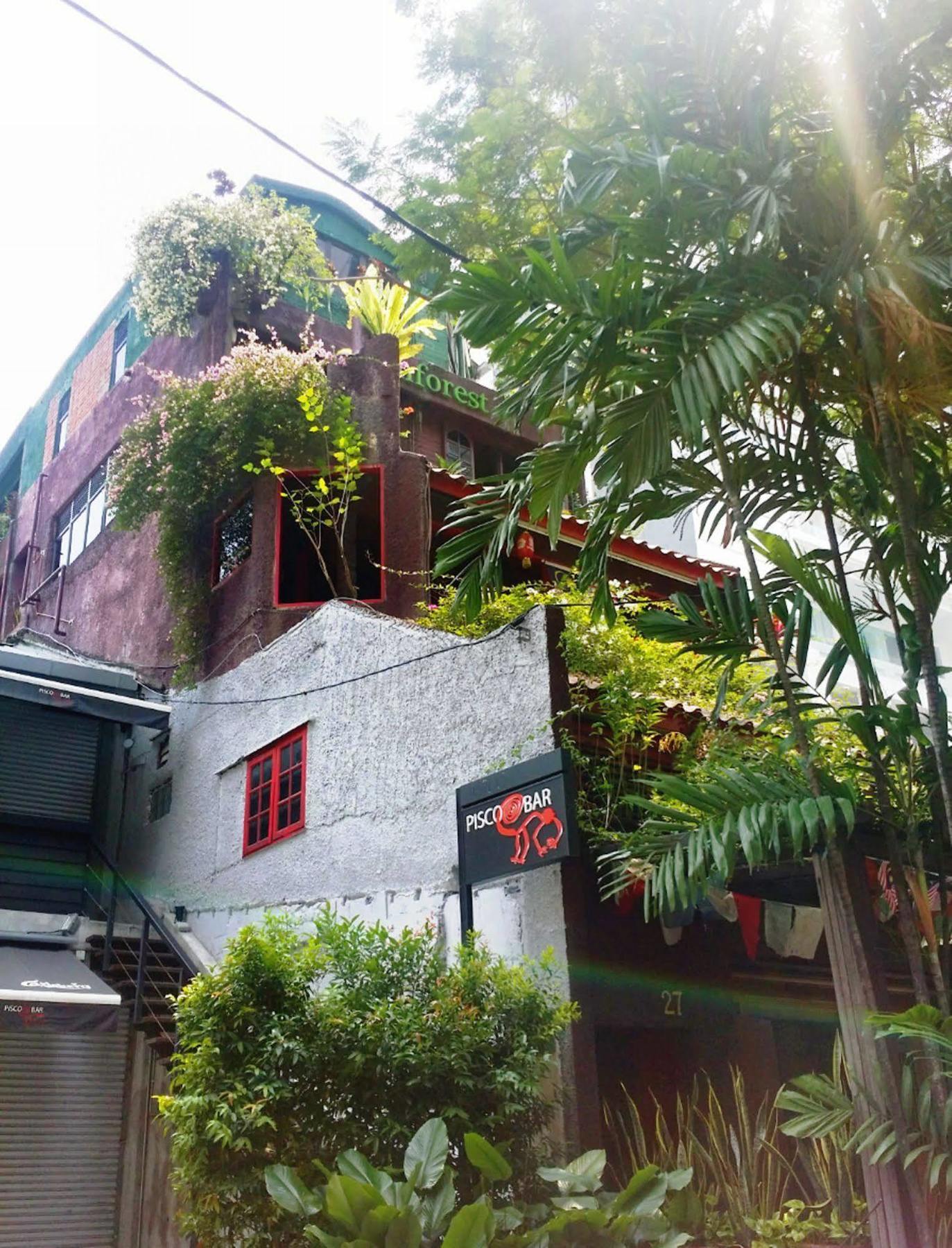 Rainforest Bed & Breakfast Kuala Lumpur Zewnętrze zdjęcie