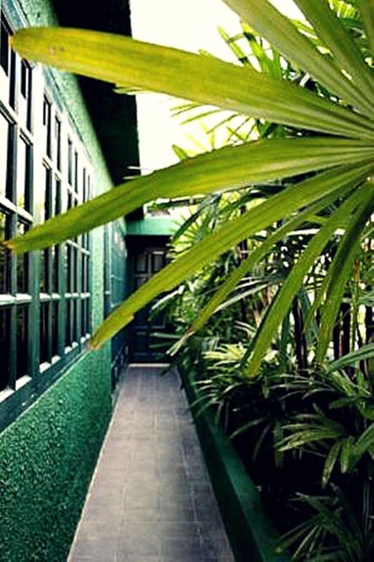 Rainforest Bed & Breakfast Kuala Lumpur Zewnętrze zdjęcie